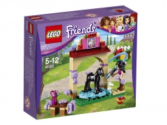 LEGO® Friends 41123 Mytí hříbátka