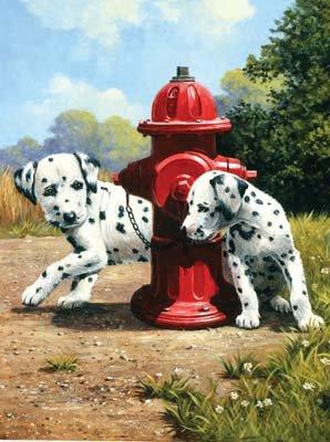 Malování podle čísel - Dalmatini u červeného hydrantu