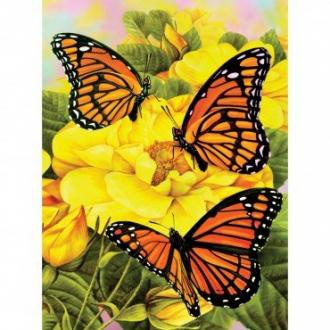 Malování podle čísel - Motýlci na žlutých kytkách