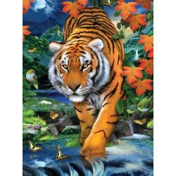 Malování podle čísel - Tygr