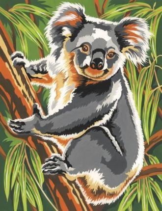 Malování podle čísel - Koala
