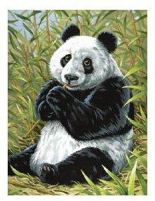 Malování podle čísel - Panda