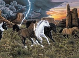 Malování podle čísel - Koně v bouřce