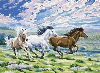 Malování podle čísel - Stádo koní
