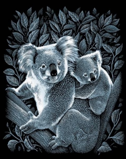Koala s mládětem