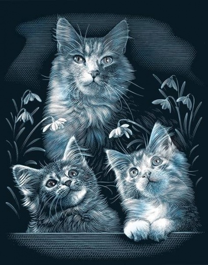Kočky tři