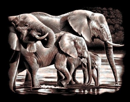 Sloni zlaté