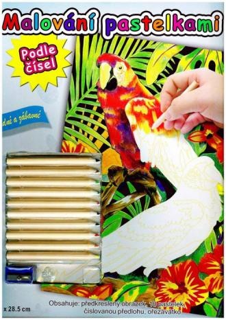 Malování pastelkami - papoušci