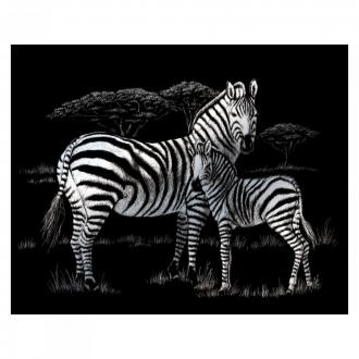Vyškrabovací obrázek - Zebry