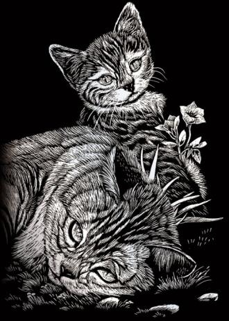 Škrabací obrázky - mini - stříbrný - Kočička a kotě