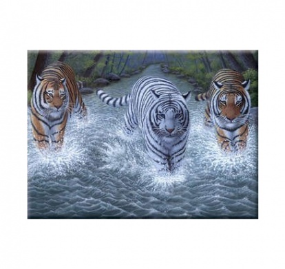Malování podle čísel - Tři tygři