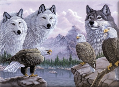 Malování podle čísel -Vlci a orli