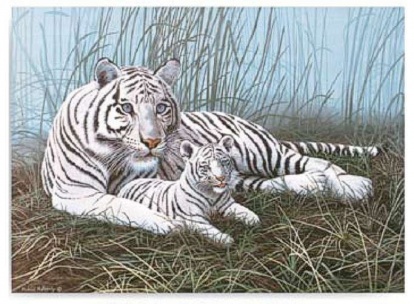 Malování podle čísel- Bílý tygr s mládětem