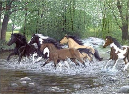 Malování podle čísel- Běžící koně vodou