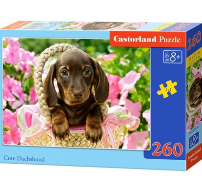 Puzzle Castorland 260 dílků - Roztomilý jezevčík v košíku