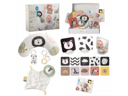 Taf Toys SADA HRAČEK HELLO BABY