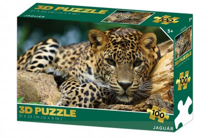 Lamps Puzzle 3D - Jaguár