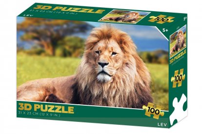 Lamps Puzzle 3D - Lev