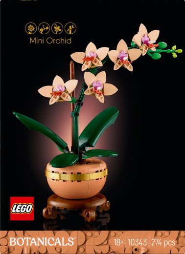 LEGO Botanicals 10343 Miniaturní orchidej