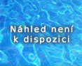 Neznámé logo